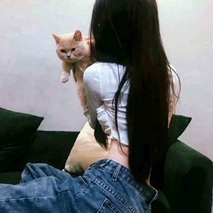 大胆贼